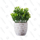 Image for article titled Stock up on Fake Plants at Wayfair